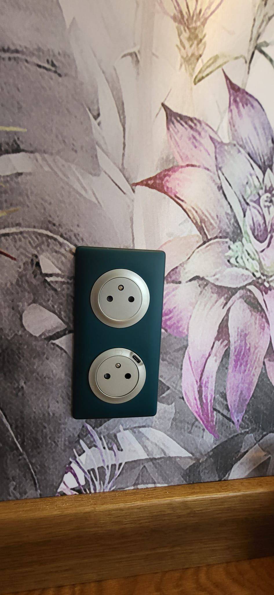 Electricité générale près de Roscoff